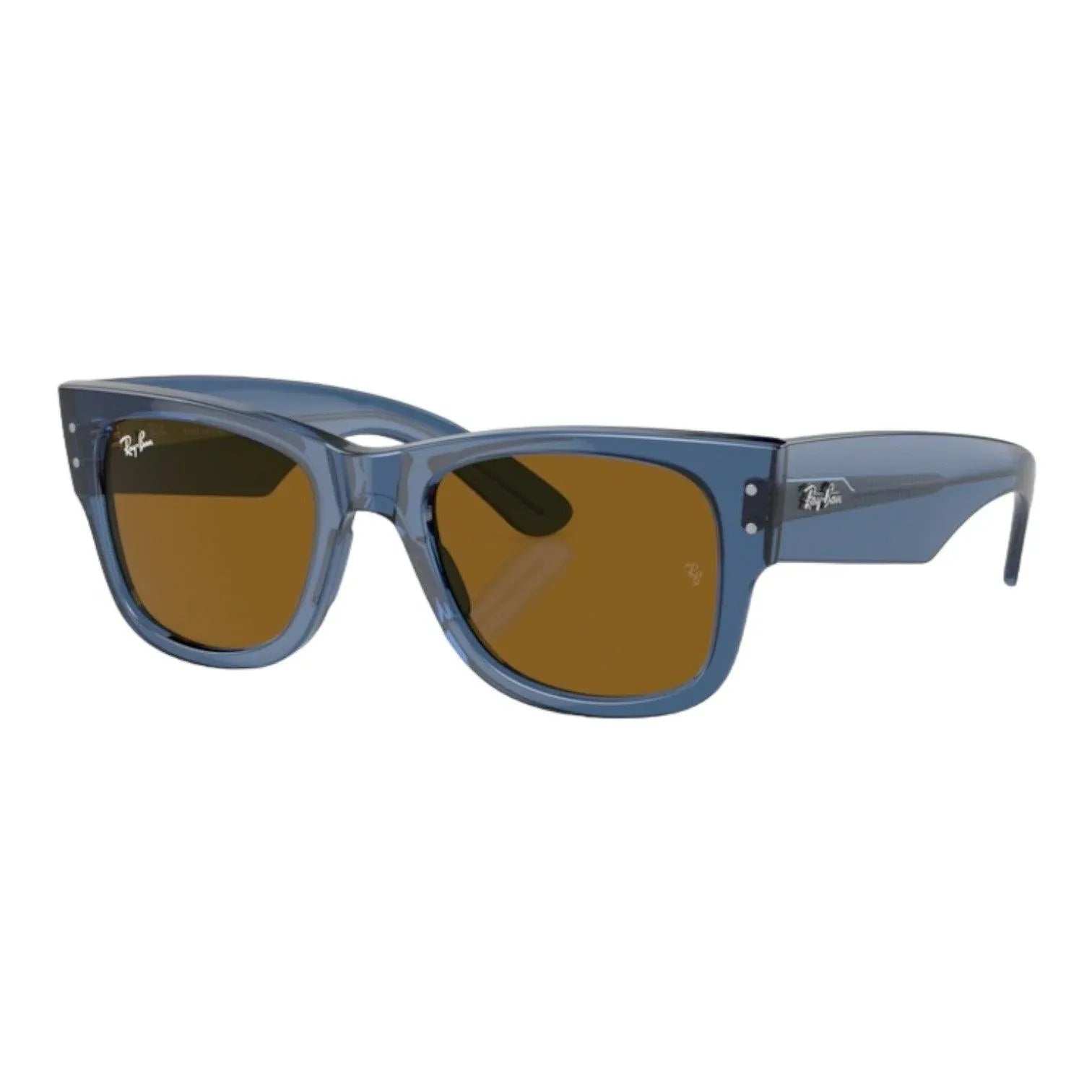 Ray-Ban RB0840 Mega Wayfarer - 6680/73 - Pistilleria