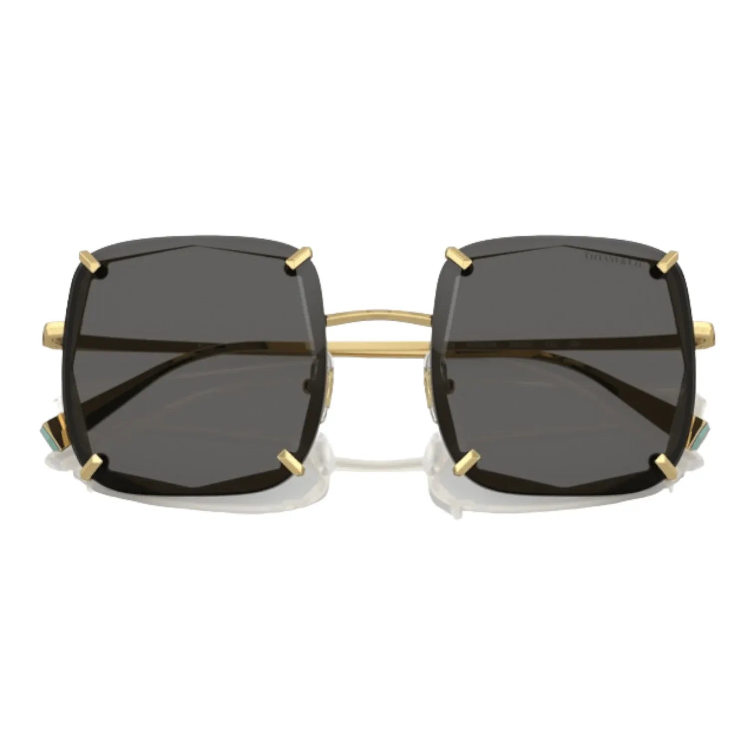 Tiffany & Co. TF 3089 600254 - Pistilleria