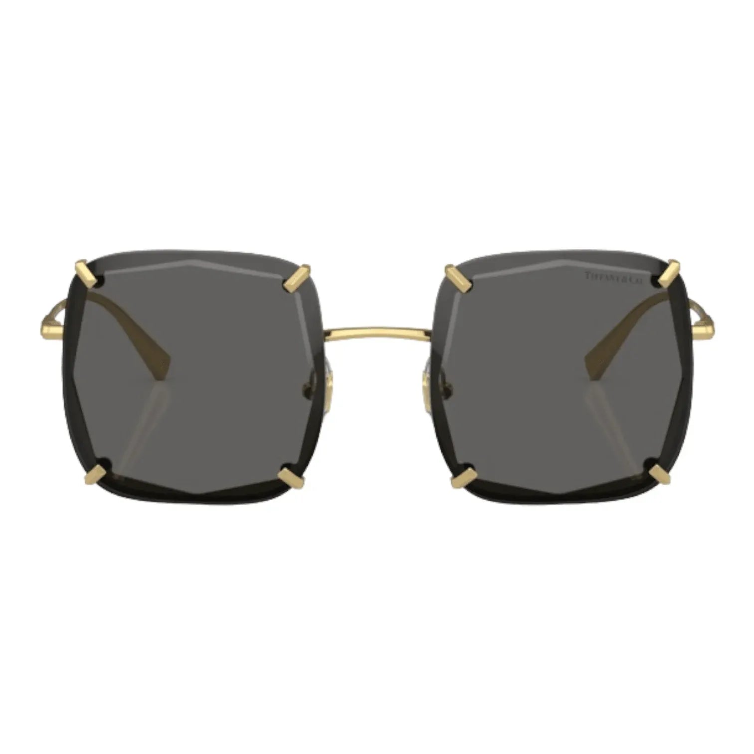 Tiffany & Co. TF 3089 600254 - Pistilleria